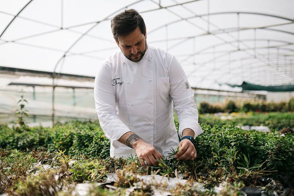 Fresh Seafood Delights