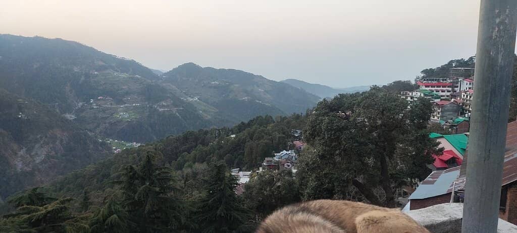 Stained-Glass Windows