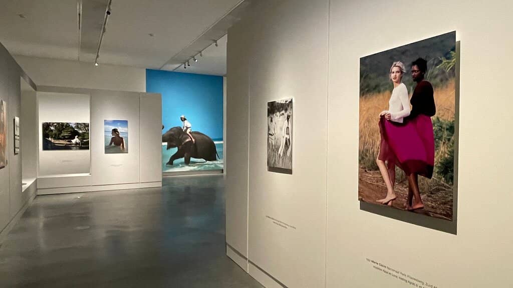 Contemporary Art Installations