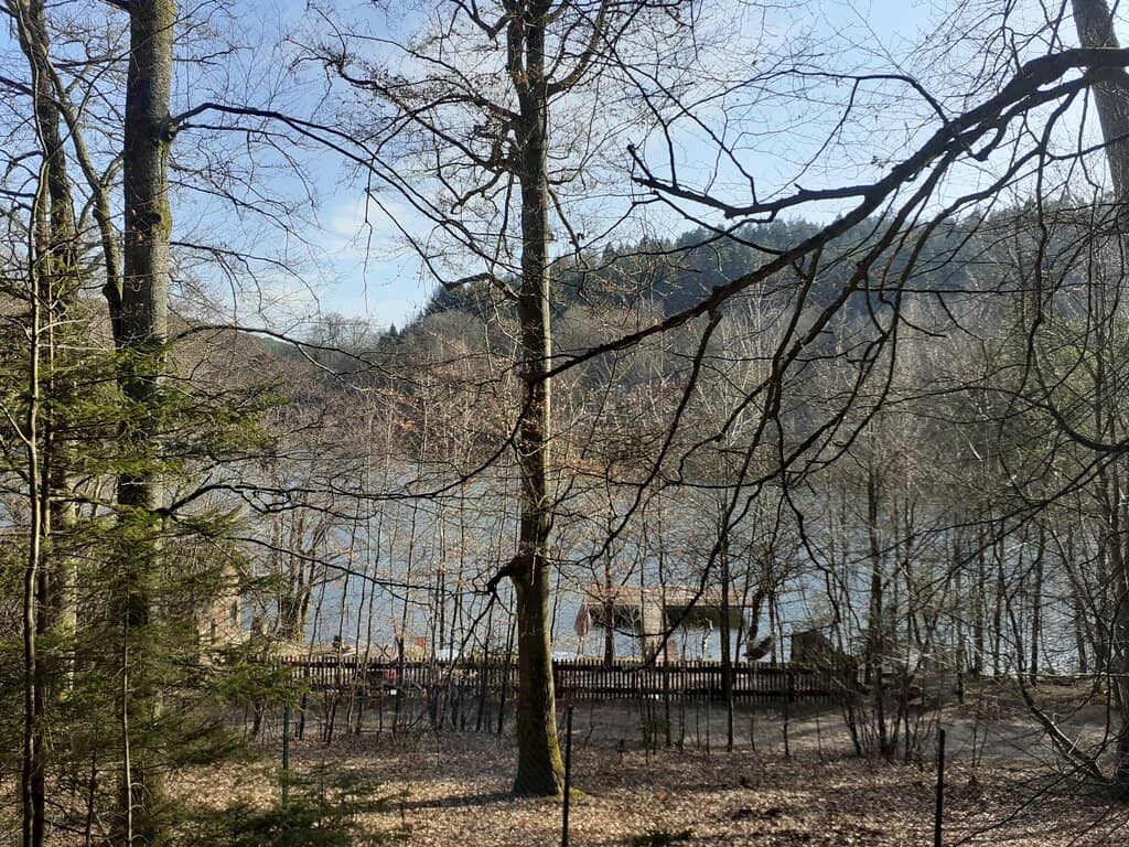 Scenic Hiking Trails