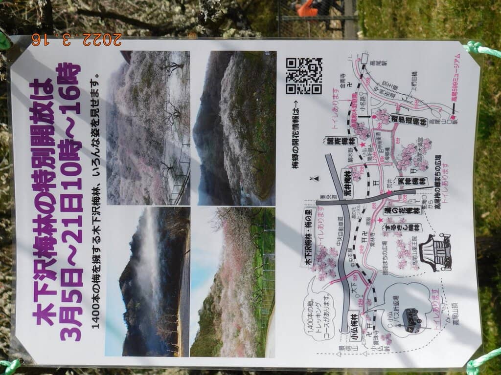 Plum Blossom Spectacle