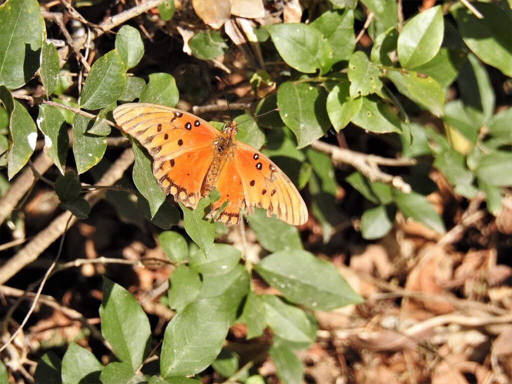 Well-Maintained Trails