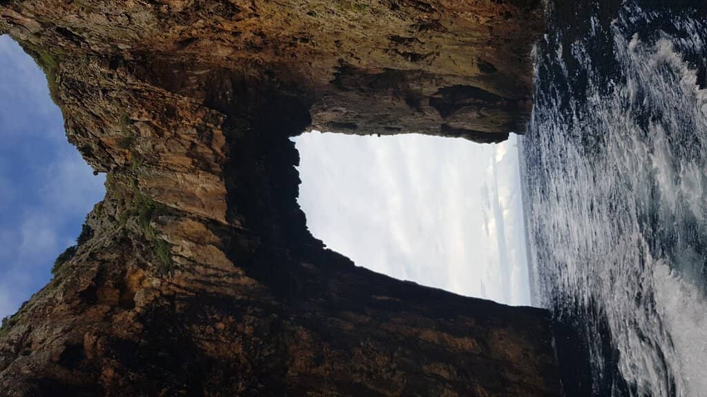 Abundant Marine Life