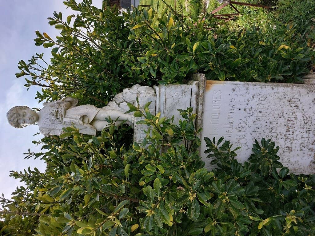 Sculptural Masterpieces