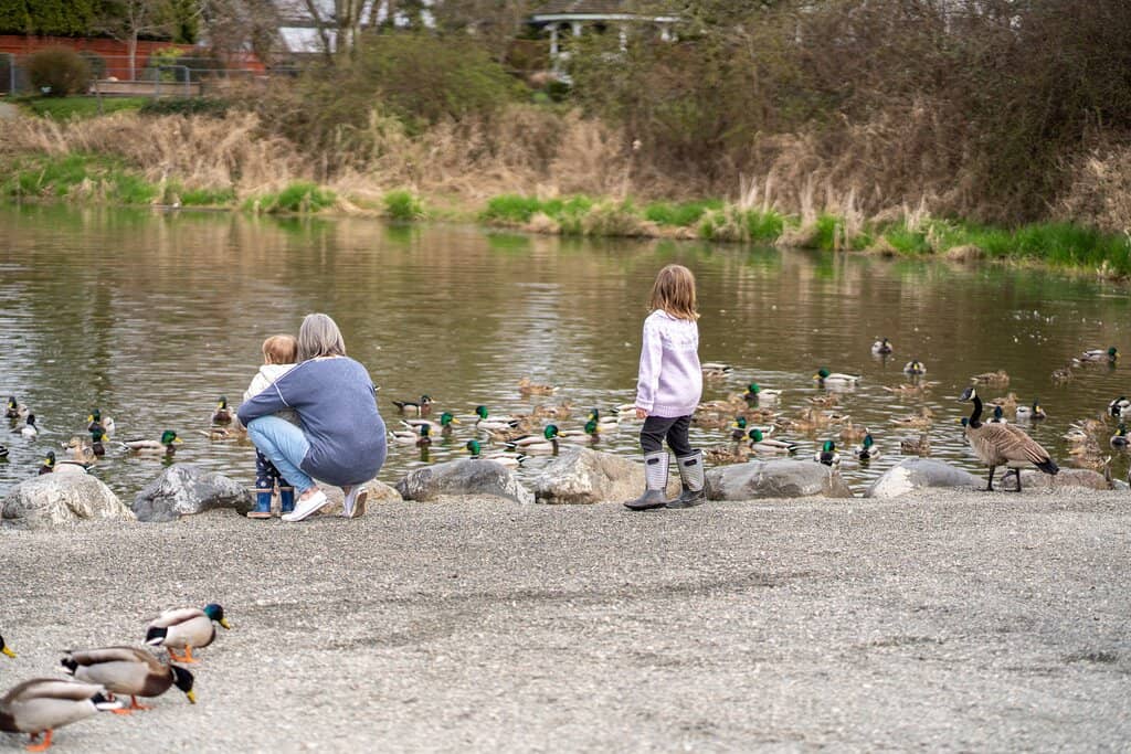 Playground Adventures