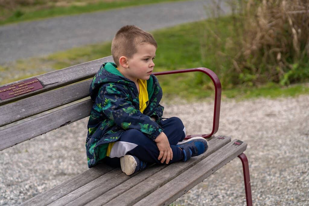 Blooming Spring Flora