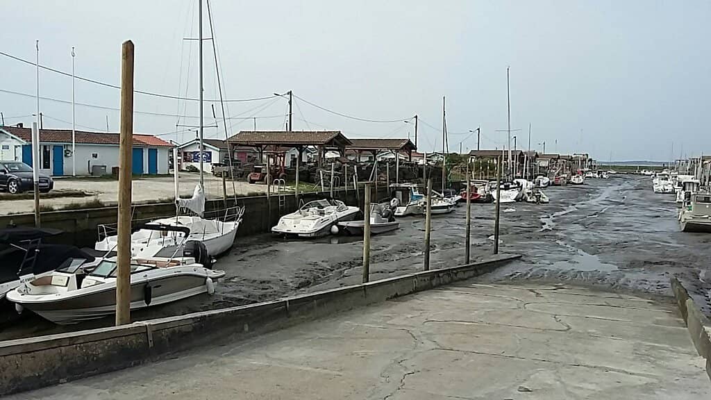 Picturesque Port Views