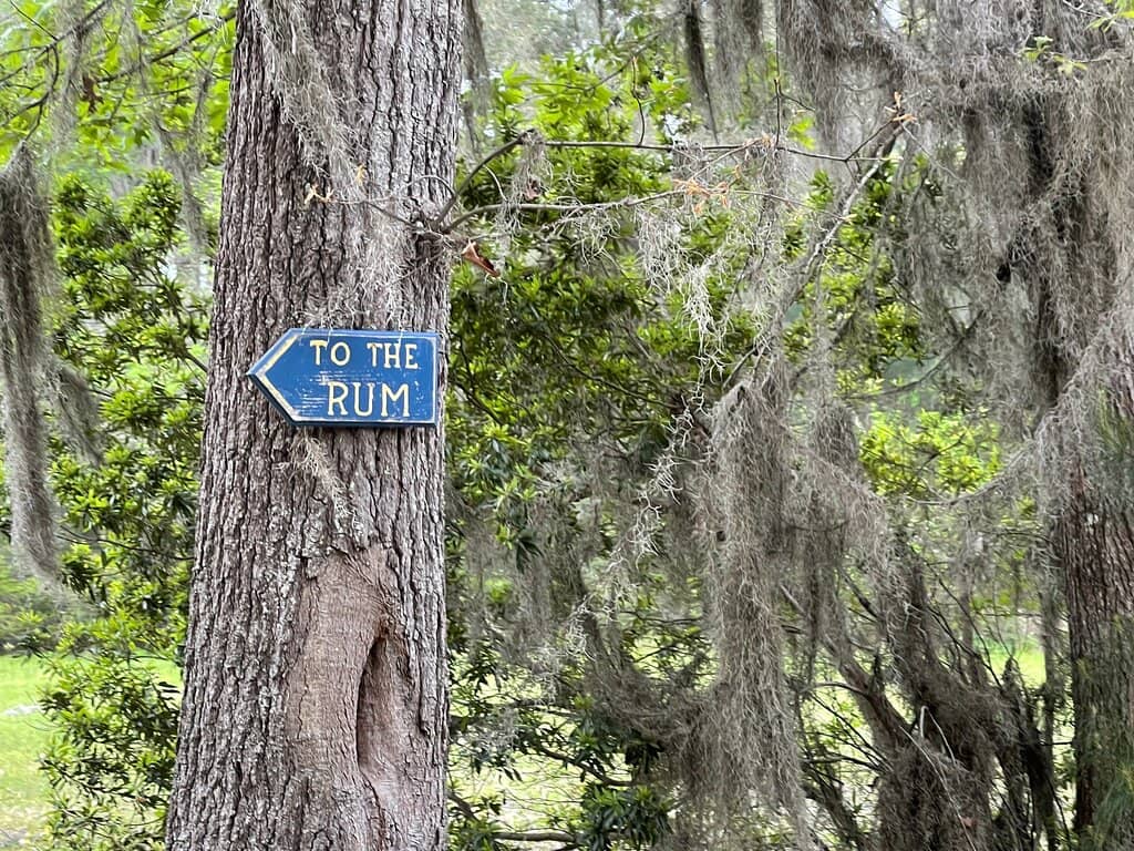 Island Scenery & Wildlife