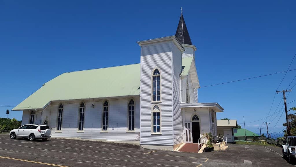 Christmas Tree Display