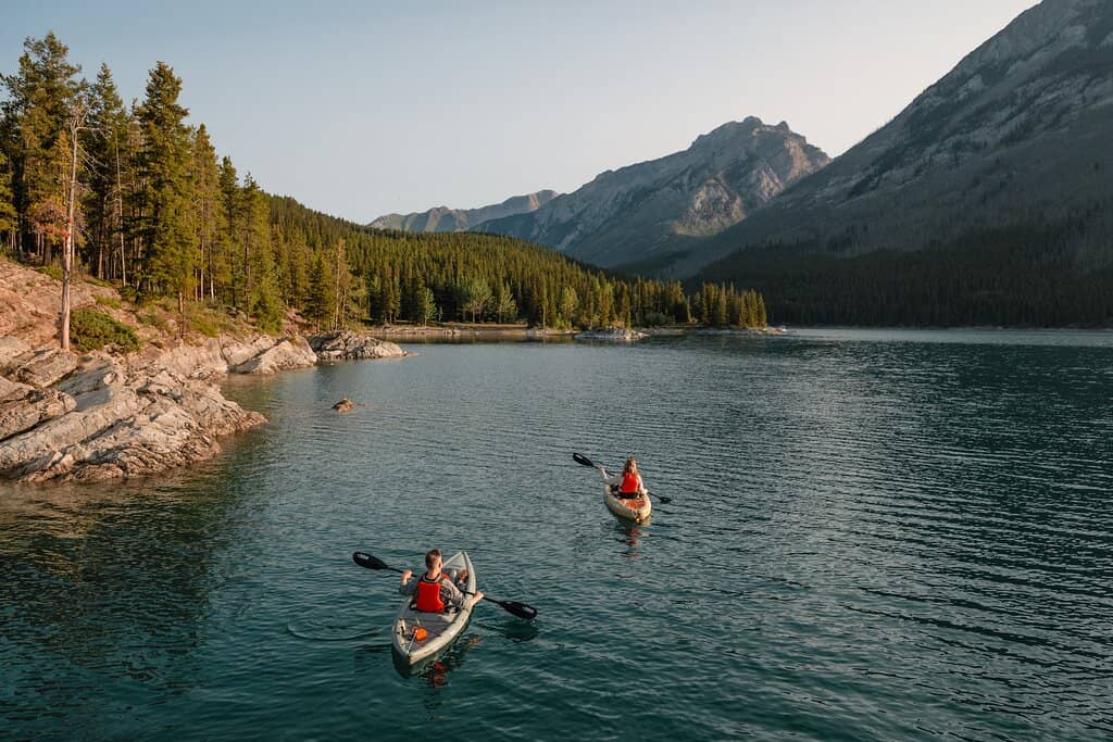 Wildlife Spotting Opportunities