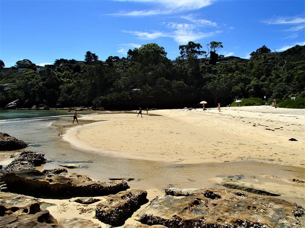 Crystal Clear Swimming