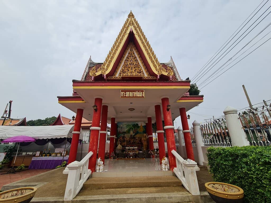Vertical photo
