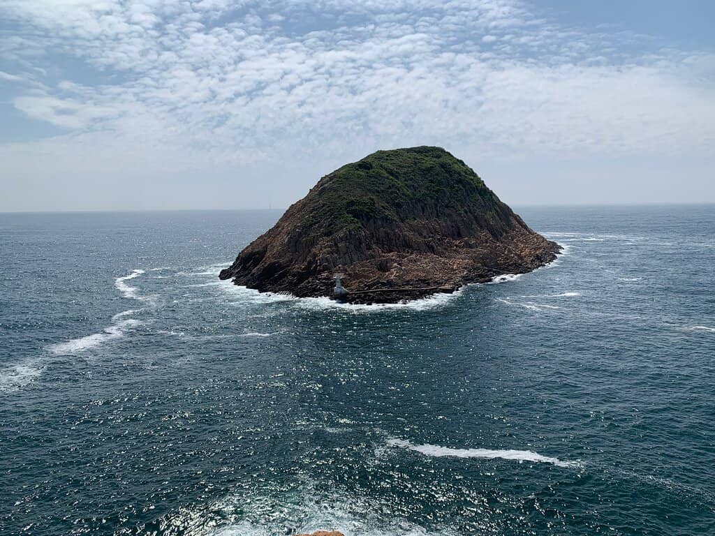 Vintage Vinyl & Rock Stores