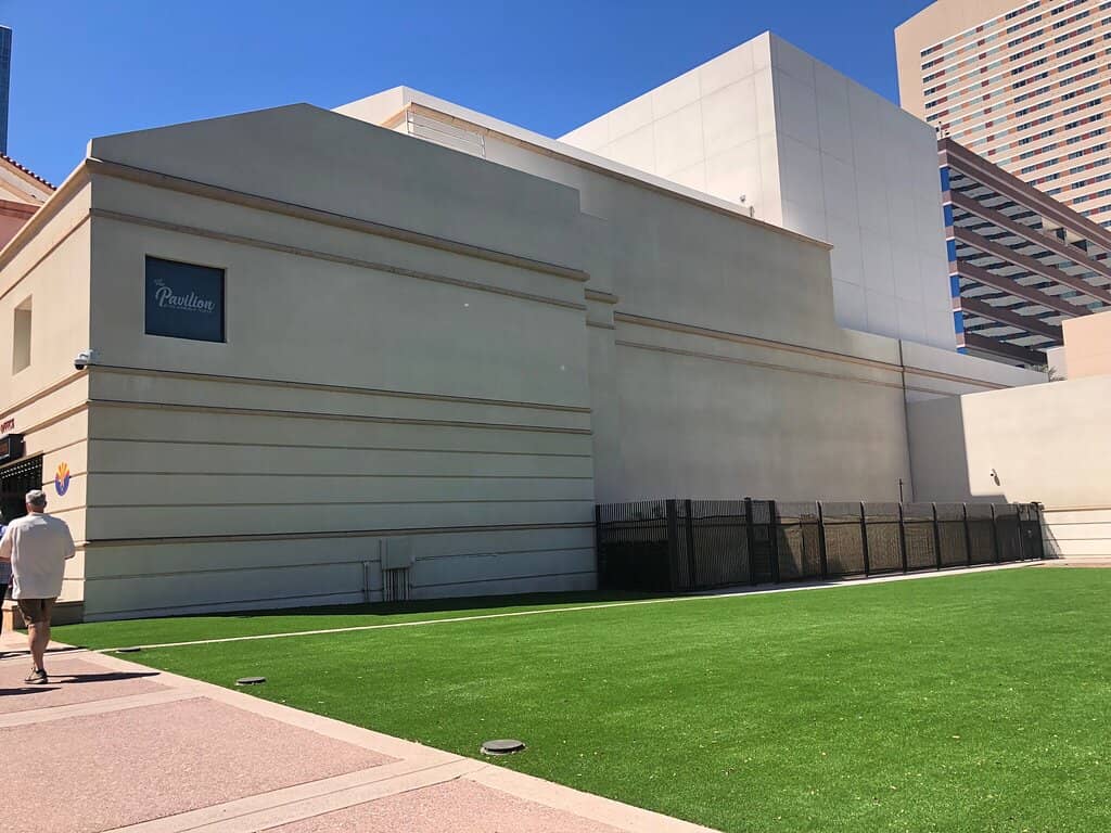 Live Theater Performances