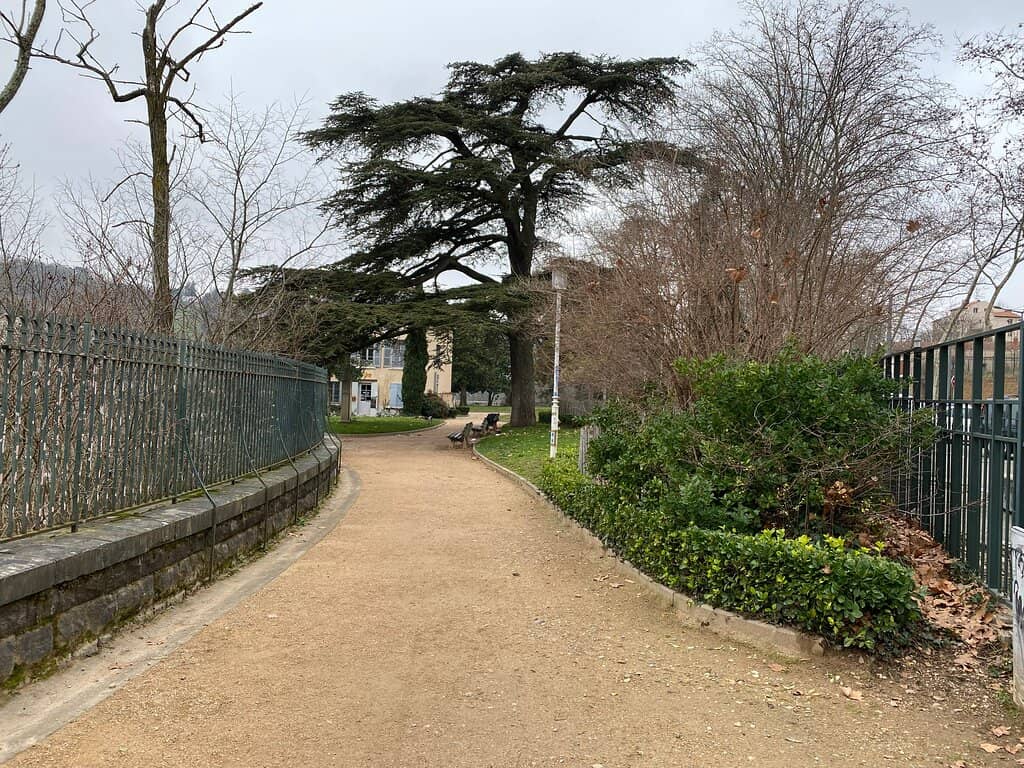 Panoramic City Views