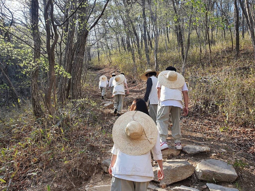 Sheep Feeding Experience