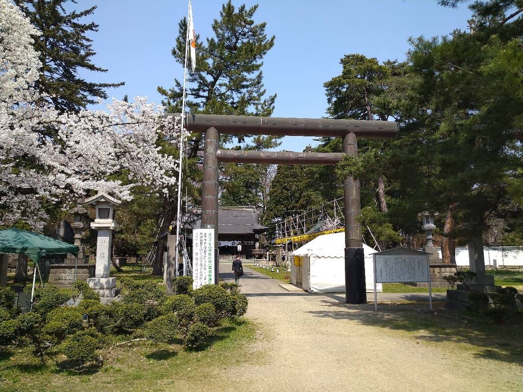 Cherry Blossom Setting