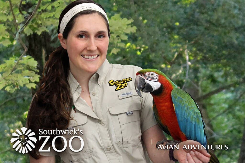 Baby Giraffe & New Arrivals