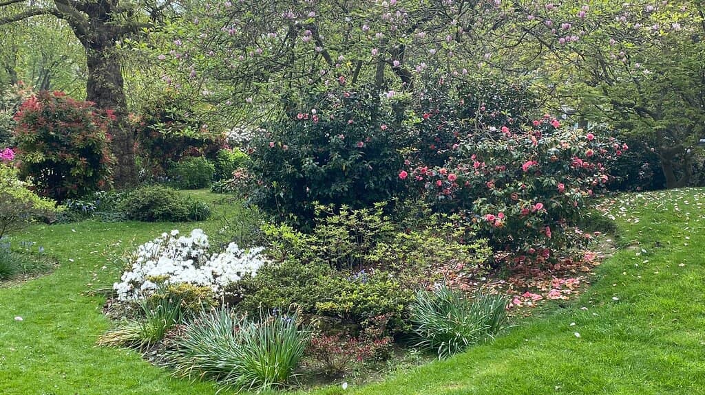 Springtime Floral Spectacle