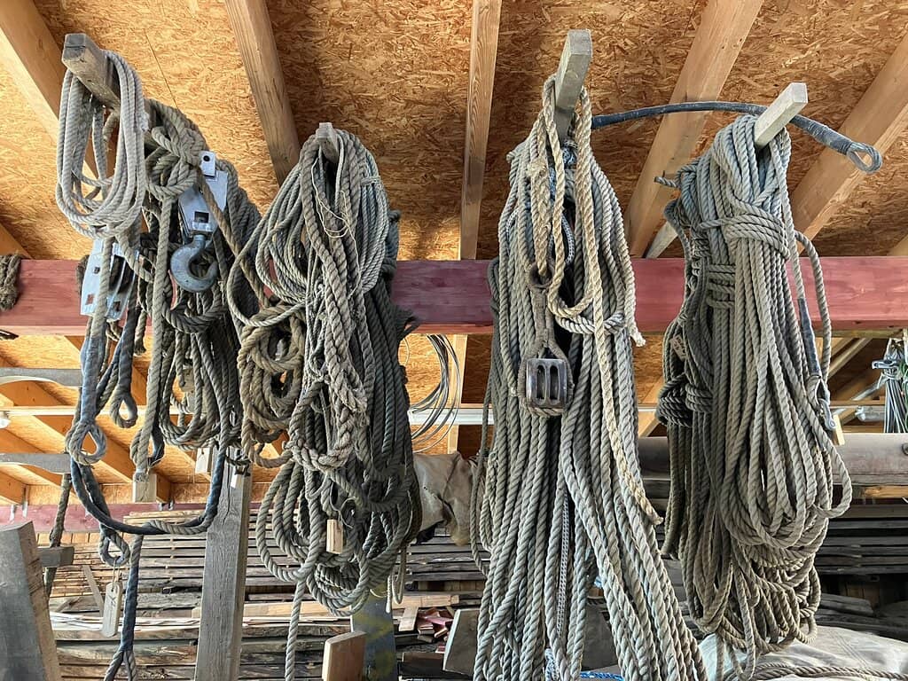 Cozy Cafe Experience