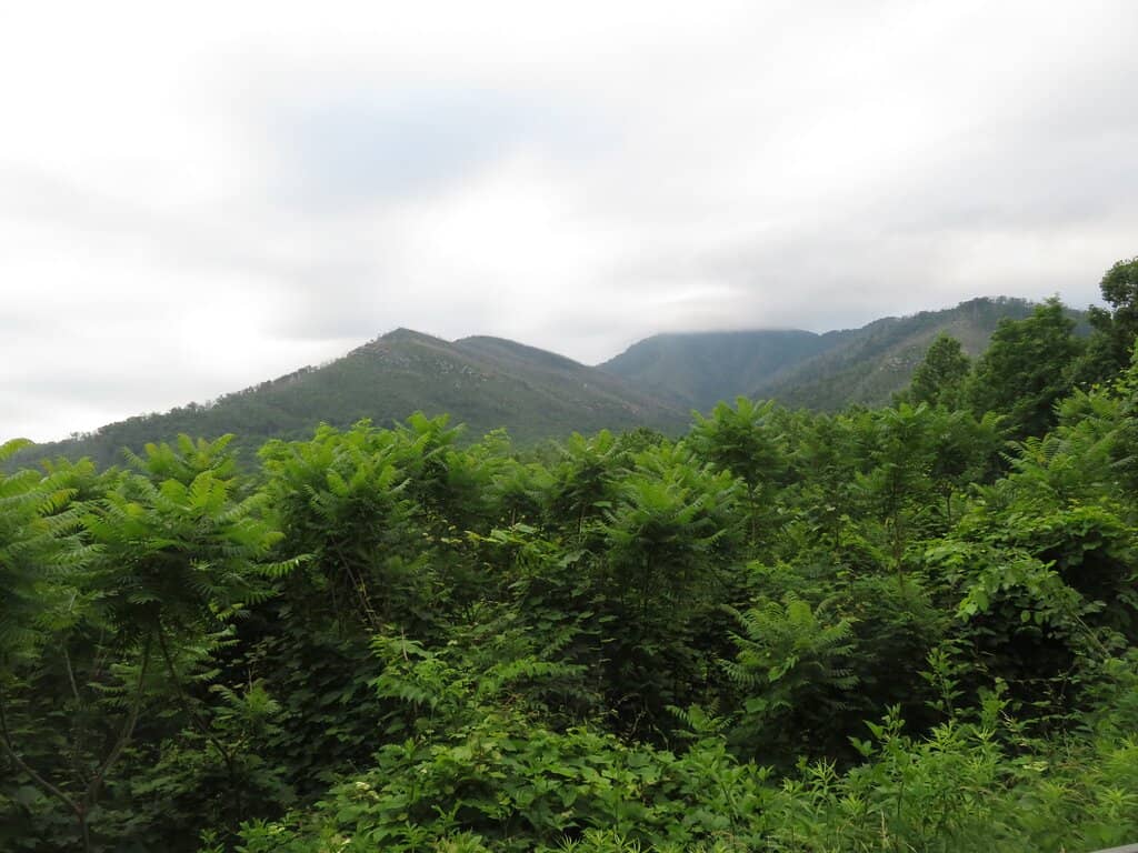 Seasonal Color Spectacle