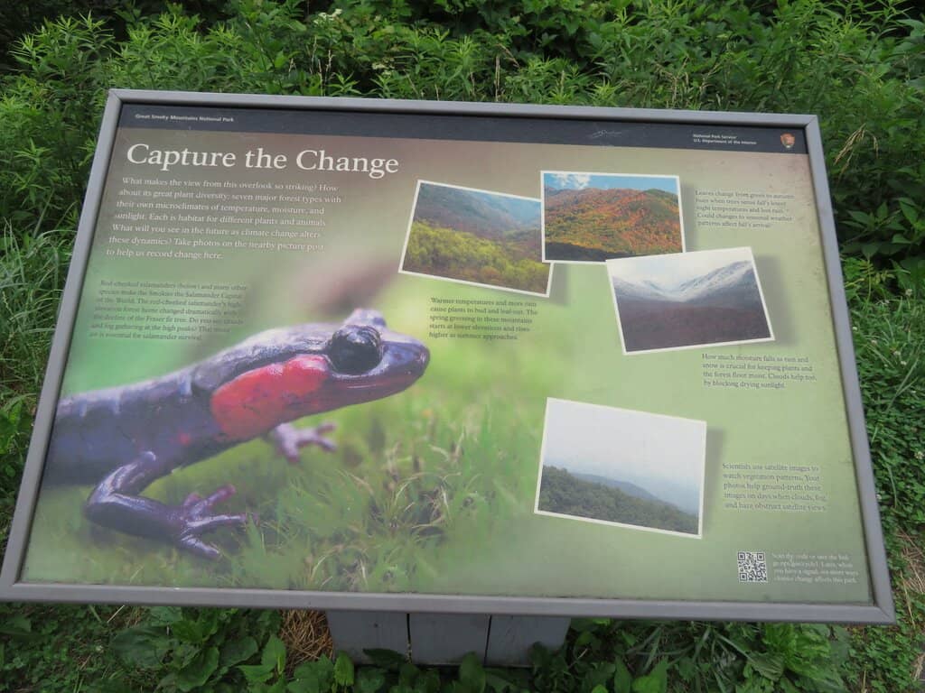 Panoramic Mountain Views