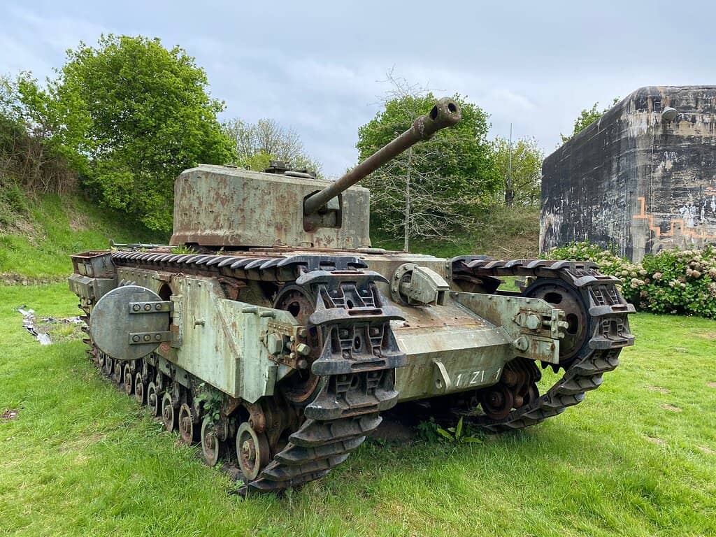 Churchill Crocodile Display