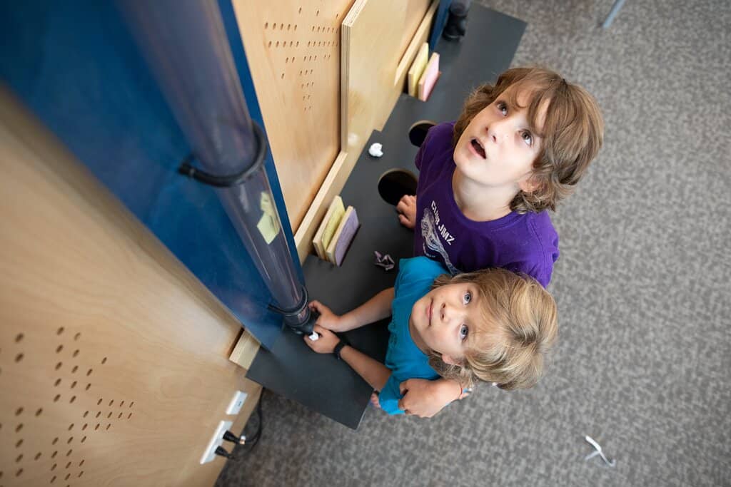 Miniature Zoo Encounters