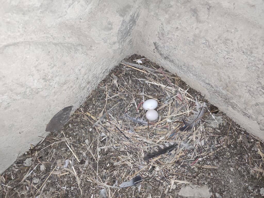 Gazimestan Monument Tower