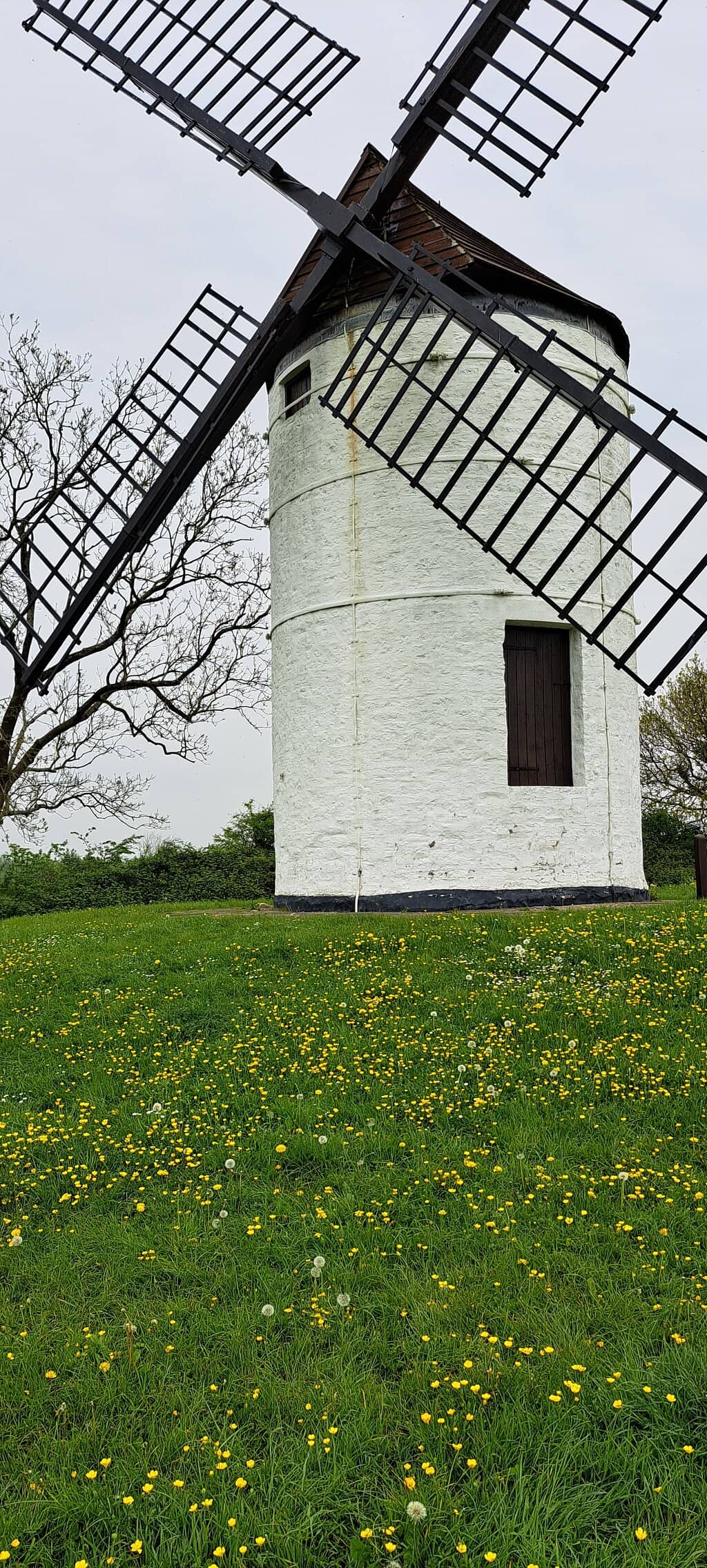 Golden Hour & Sunset