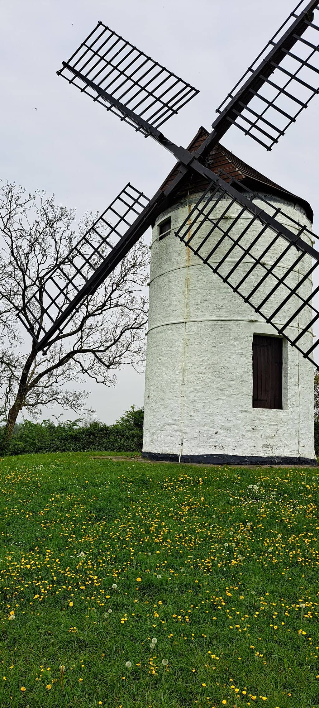 Scenic Countryside Walks
