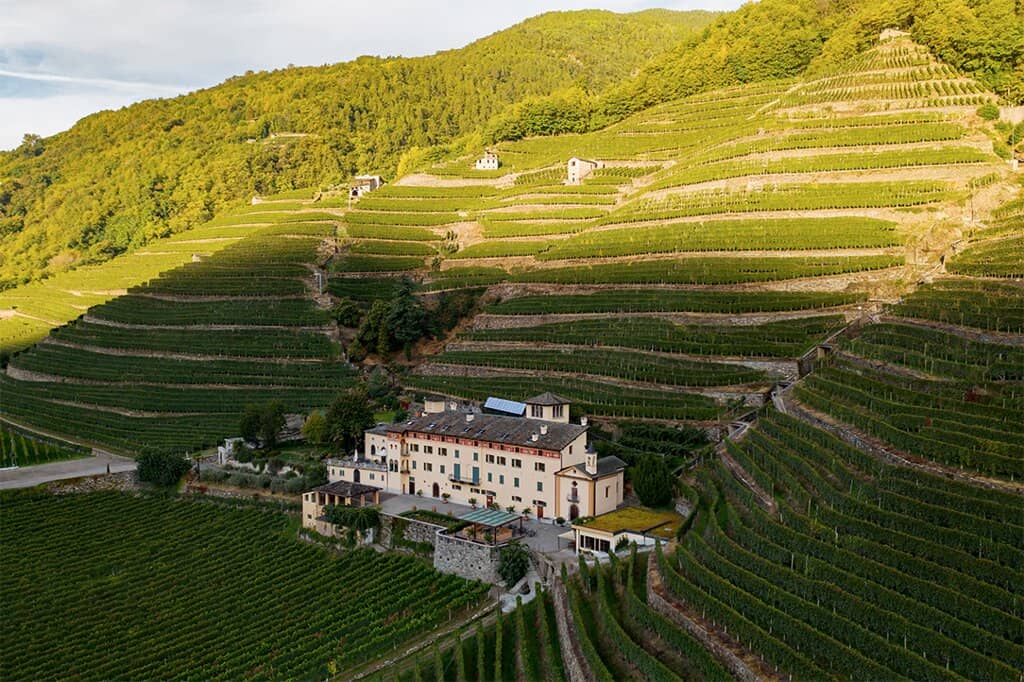 Wine Tasting & Local Delicacies