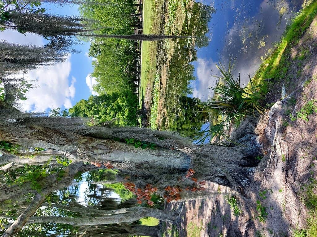 Playground Adventures