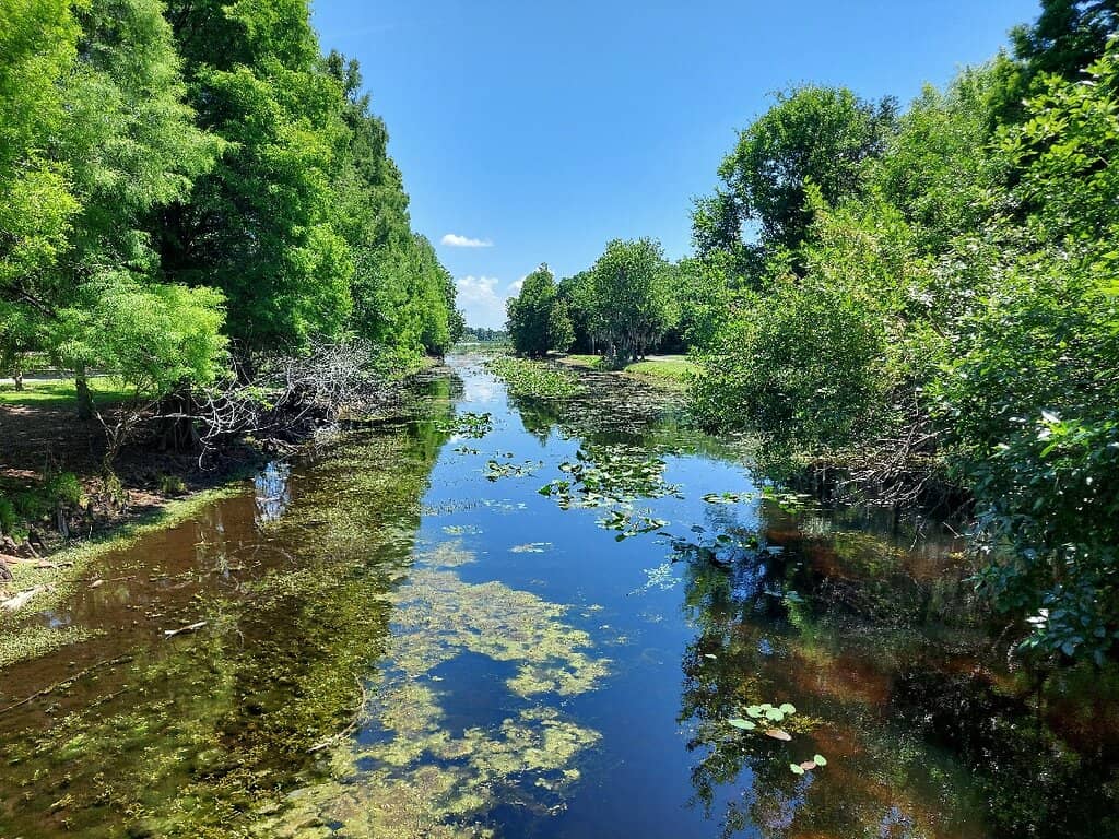 Walking & Jogging Trails