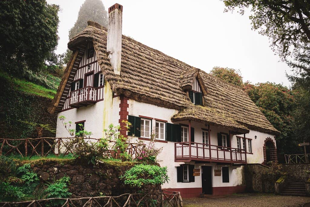 Geese and Woven Steps