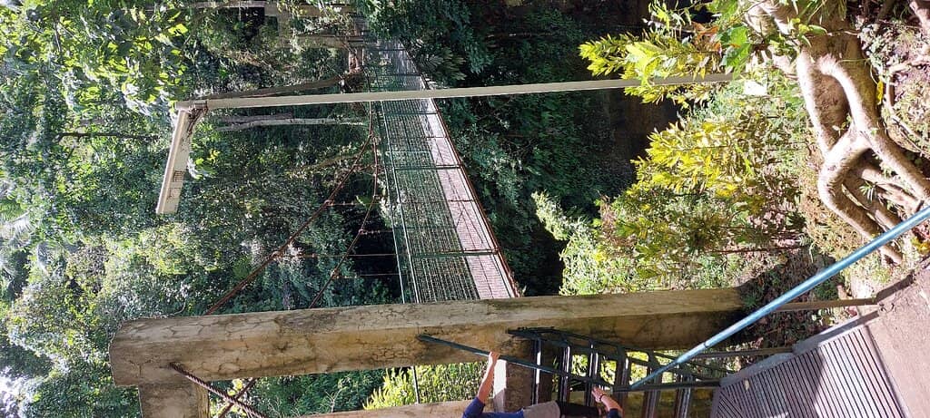 Silay Cave Exploration