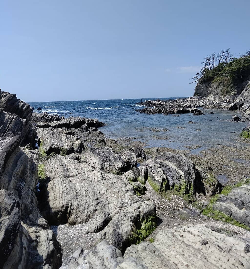Rugged Coastline Trails