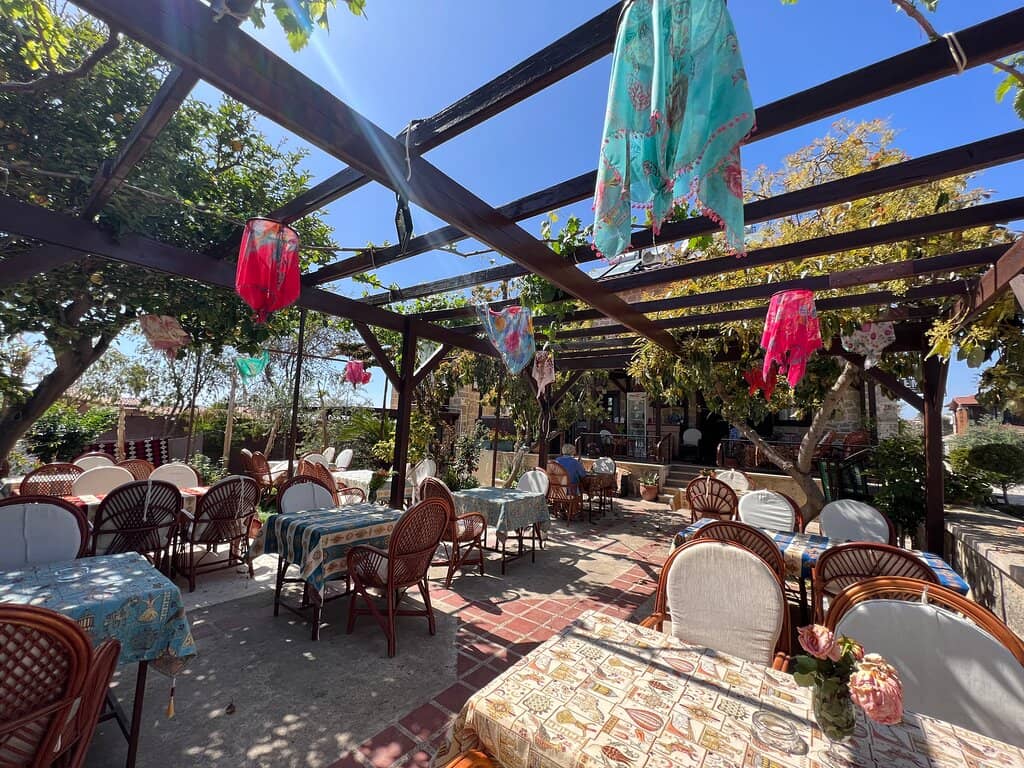 Charming Grapevine Terrace