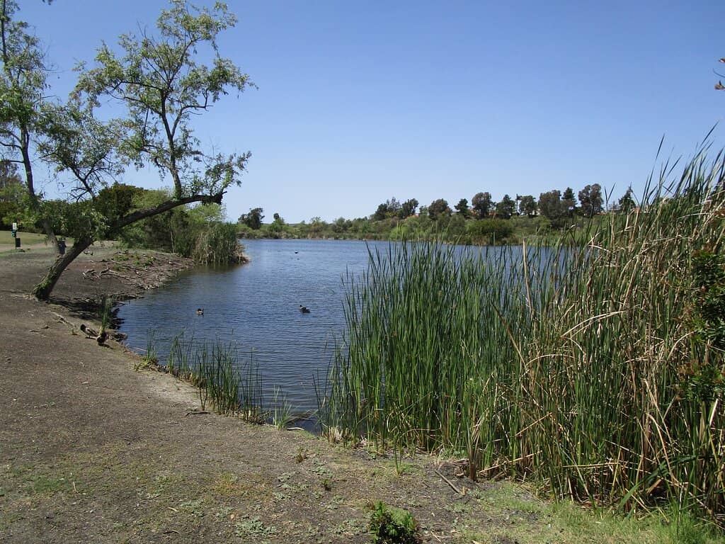 Playgrounds & Picnic Areas