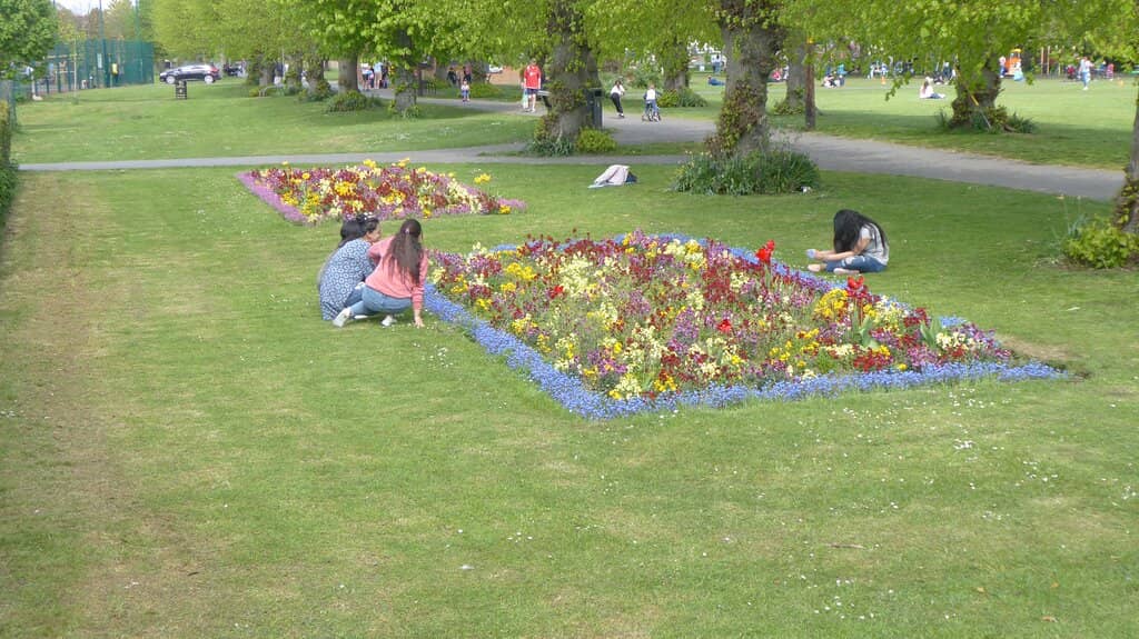 Open Lawns & Playgrounds