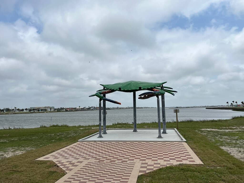 Tide Pooling Adventures