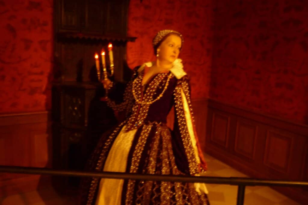 Local Culture & Cuisine