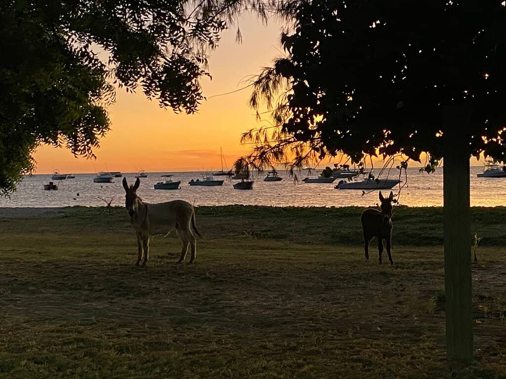 On The Rocks Restaurant