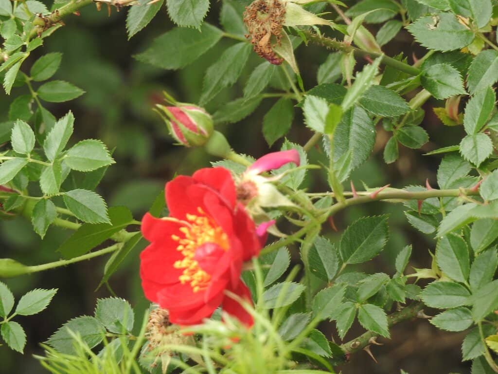 Recycled Art Installations