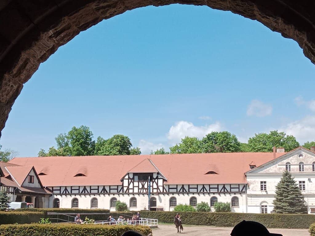 Equestrian Activities