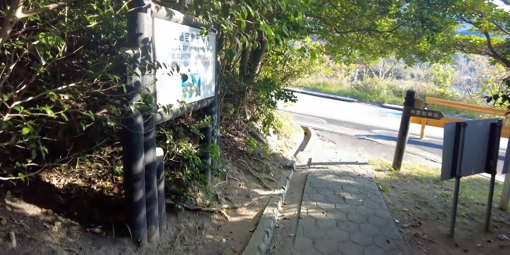 The 'Cat Man' Encounter