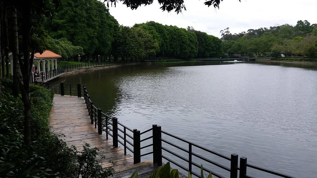 Greenery and Wildlife