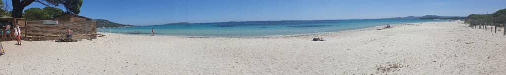 Pine Trees & Natural Shade