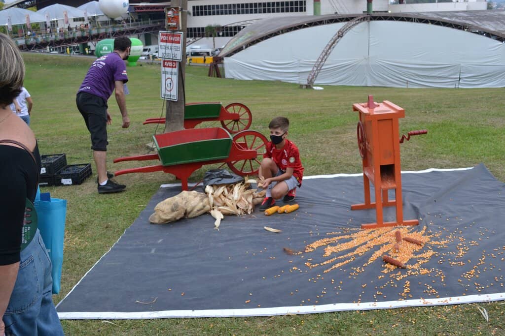 Wine and Grape Tastings