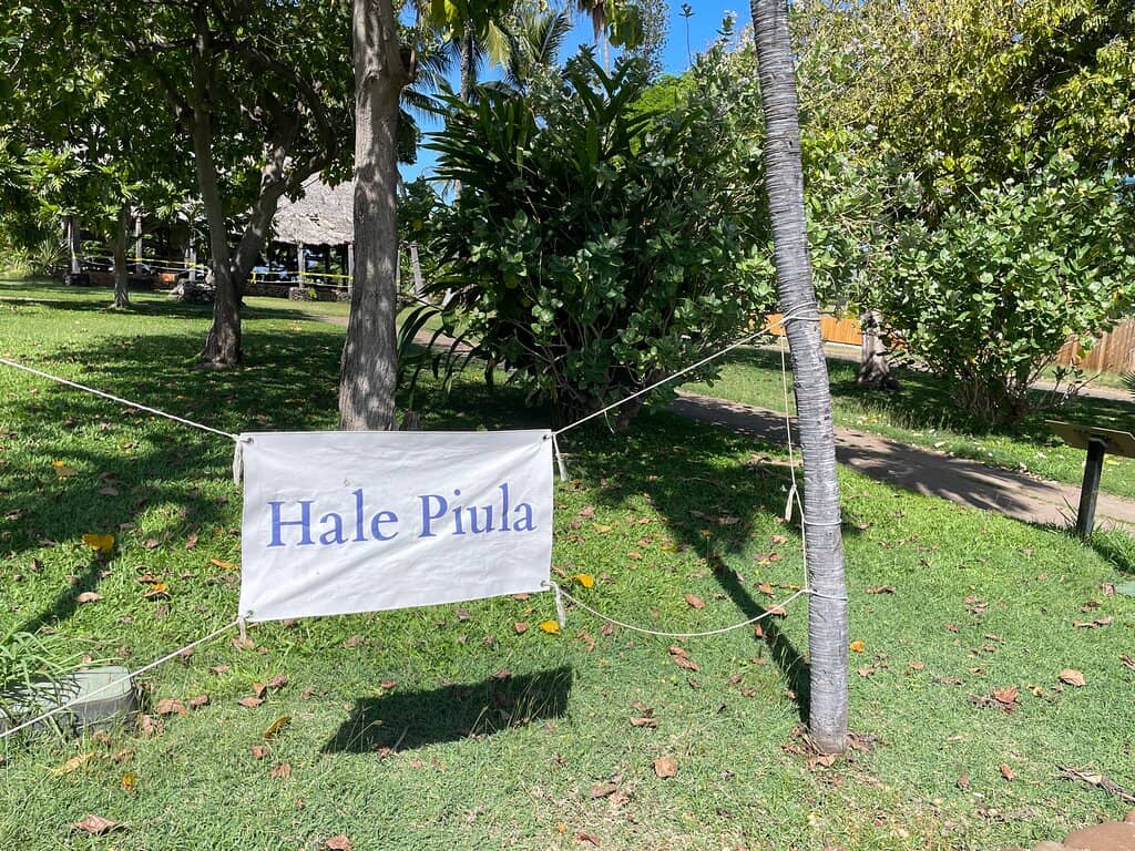 Banyan Tree's Comeback